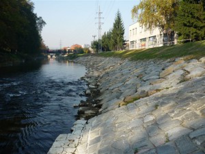 P1000664