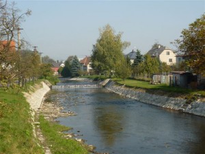 P1000673