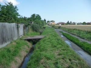 před